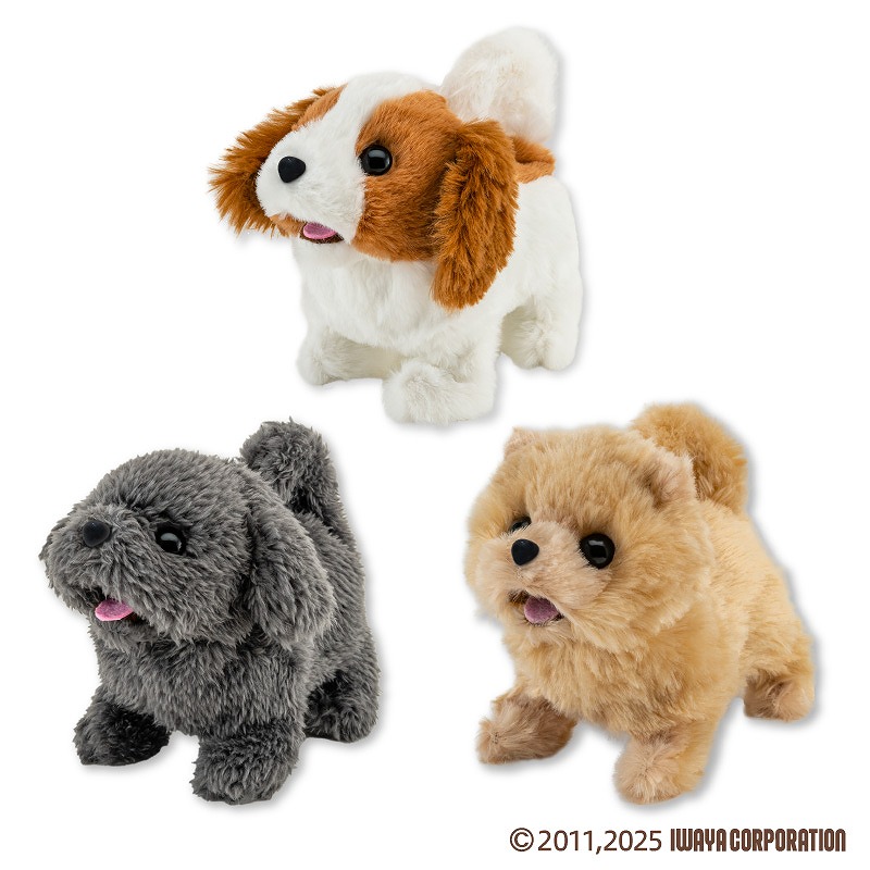 とことこ歩いてワンワン鳴くわんちゃんスタジアム | 先月・今月の登場