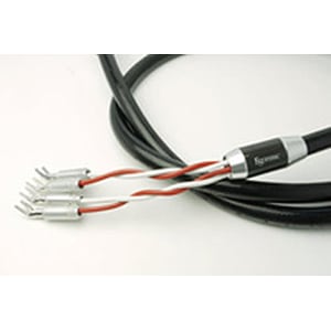 ESOTERIC - 7��-S10000II MEXCEL/2.0m�ʥ��ԡ����������֥롦���󥰥�磻�䡦ξüY�饰���ڥ��ˡ�e�աڴ����