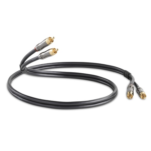 QED - Performance Audio Graphite/1.0m（RCA・ペア）《e》【在庫有り