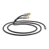 QED - Performance J2P Graphite/1.5mʥߥ˥ƥ쥪 RCAƥ쥪ˡeաڥ᡼ʡǼϳǧ头Ϣ