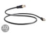 QED - Performance Ethernet Graphite/3.0m�ʥ����ǥ�����LAN�����֥�ˡ�e�աں߸�ͭ��¨Ǽ��