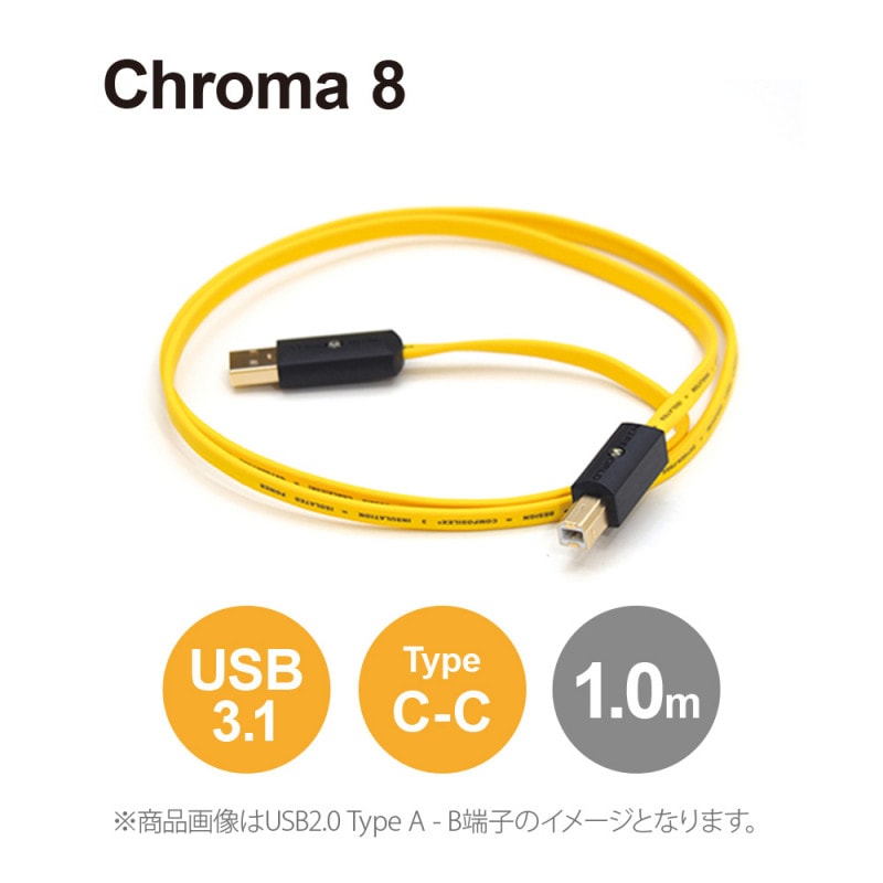 WIREWORLD - C3CC/1.0m（USB3.1ケーブル・C-C）＜Chroma 8＞《e