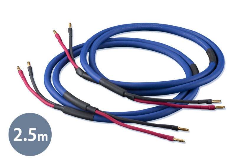 AET - EVO-1302FB-SP/2.5m/B-BξüҥХʥʥץ饰/ڥ˥ԡ֥봰ʡڼ/׻ѡۡeաǼϳǧ头Ϣ