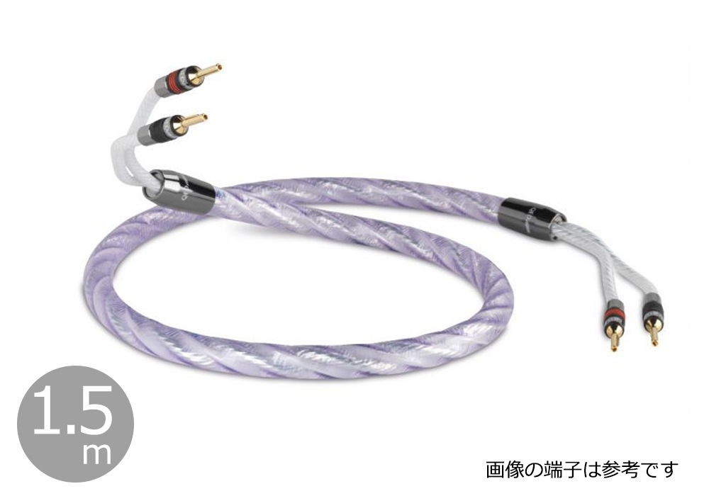 QED - Signature Genesis Silver Spiral/1.5m�ʴ����ʥ��ԡ����������֥롦�ڥ�/��ü������ˡڼ�������/�׻�����ѡۡ�e�ա�Ǽ���ϳ�ǧ�头Ϣ����