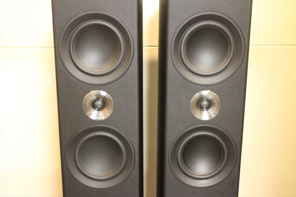 TANNOY - Platinum F6 R/ĴBʡ١e-u