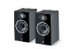 FOCAL - Theva No.1/B/֥åʥڥ˥֥åեԡeաں߸ͭ¨Ǽ