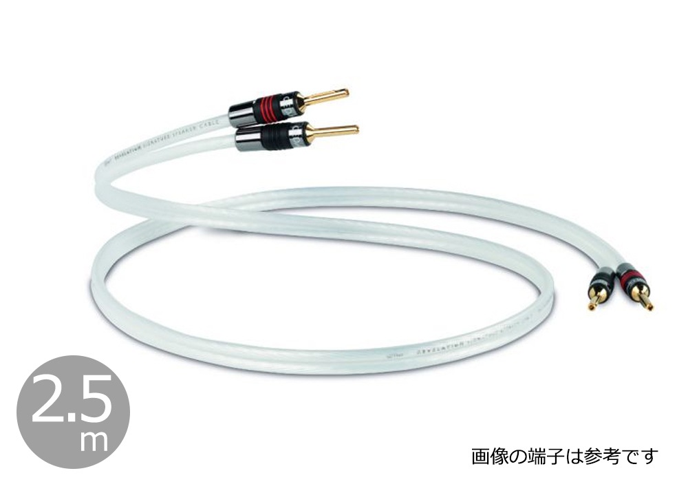 QED - Signature Revelation/2.5m�ʴ����ʥ��ԡ����������֥롦�ڥ�/��ü������ˡڼ�������/�׻�����ѡۡ�e�աں߸˸¤ꡦǼ���ϳ�ǧ�头Ϣ����
