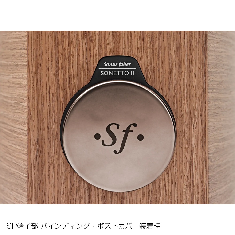 Sonus Faber - Sonetto VIII G2㥽ͥå 8 G2/ʥåȡʥڥ˥եɥԡ緿NOAѡeաڥ᡼ʡǼϳǧ头Ϣ