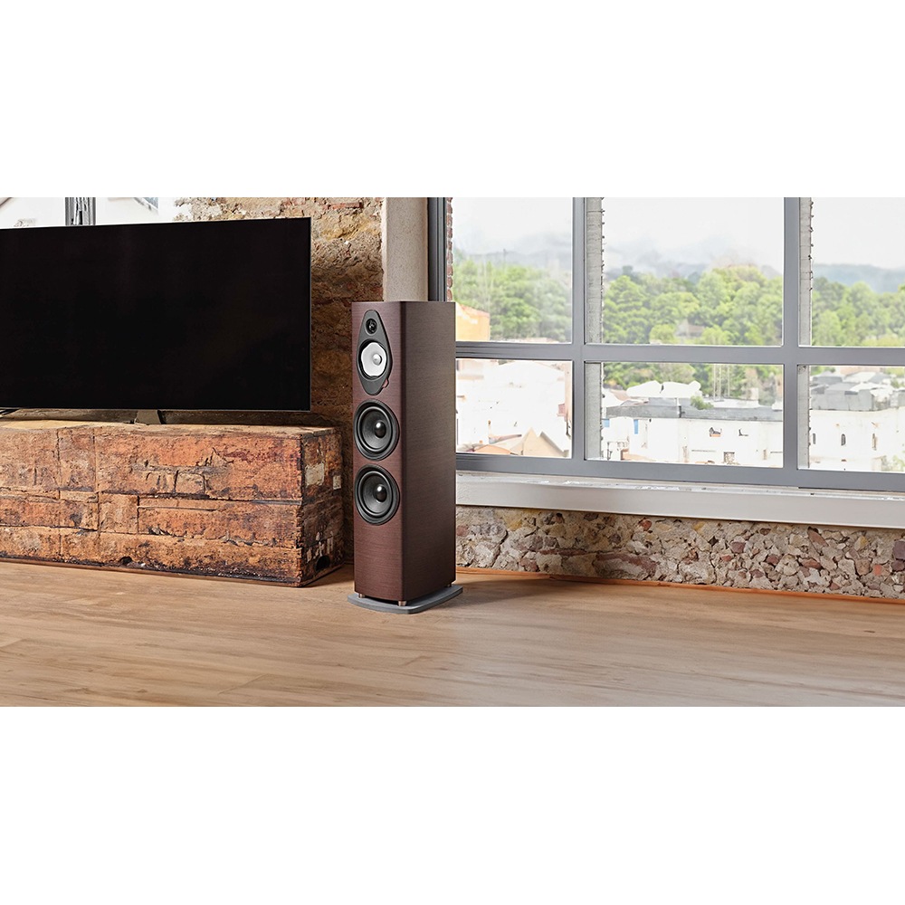 Sonus Faber - Sonetto VIII G2㥽ͥå 8 G2/ʥåȡʥڥ˥եɥԡ緿NOAѡeաڥ᡼ʡǼϳǧ头Ϣ