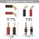 QED - Signature Revelation/3.0mʴʥԡ֥롦ڥ/üˡڼ/׻ѡۡeաǼϳǧ头Ϣ