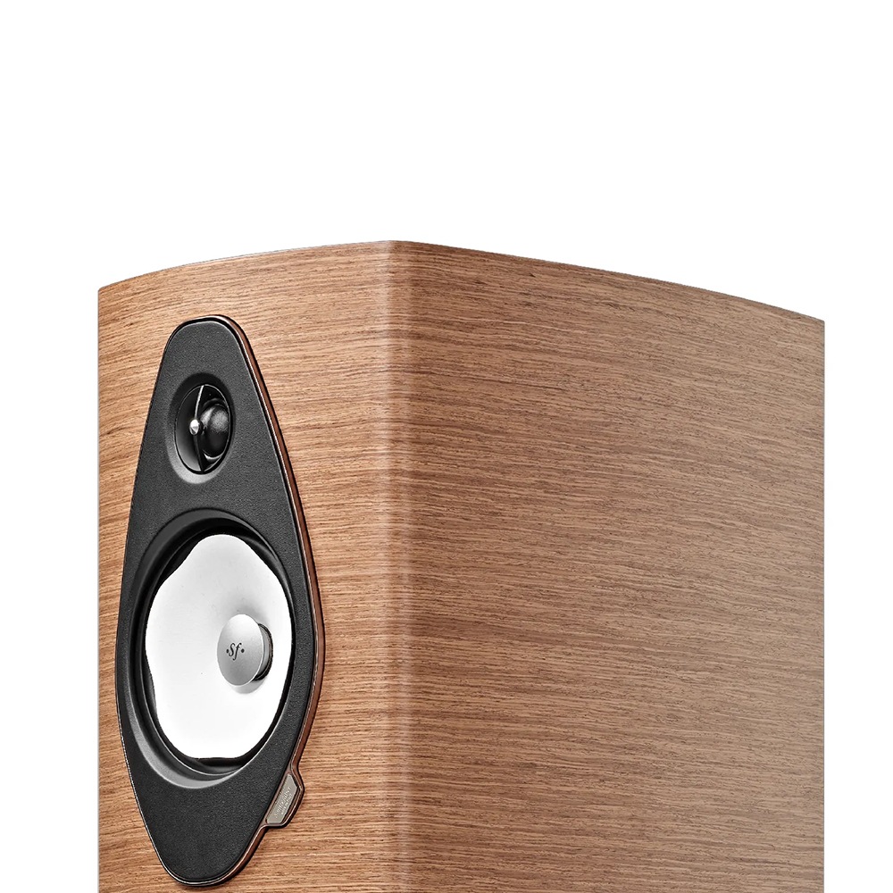 Sonus Faber - Sonetto V G2�㥽�ͥå� 5 G2��/�����󥲡ʥڥ��˥ե���������ɥ��ԡ��������緿NOA�ѡڼ�������/�׻�����ѡۡ�e�ա�Ǽ���ϳ�ǧ�头Ϣ����