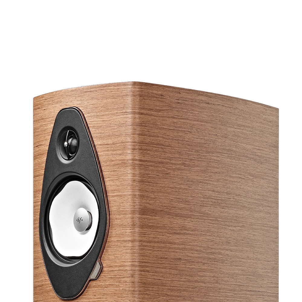 Sonus Faber - Sonetto V G2㥽ͥå 5 G2/ԥΥ֥åʥڥ˥եɥԡ緿NOAѡڼ/׻ѡۡeաڥ᡼ʡǼϳǧ头Ϣ