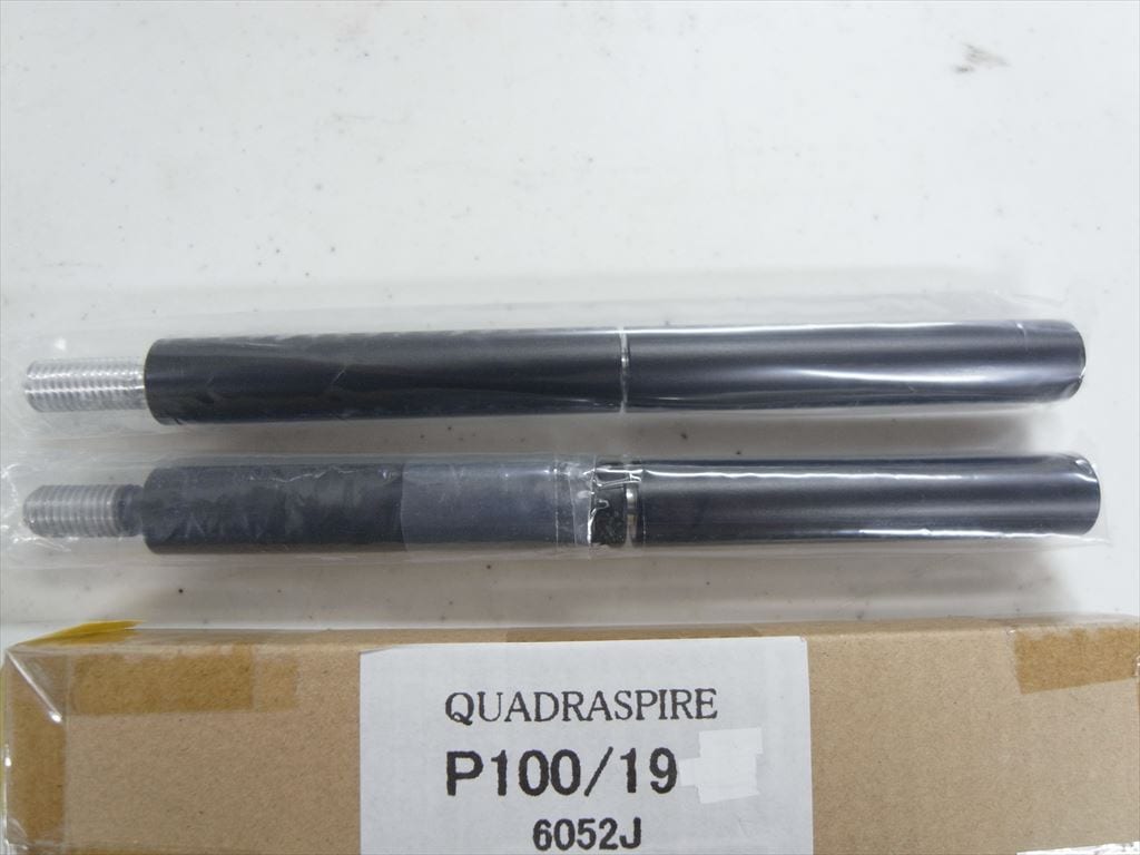 QUADRASPIRE - P100/19/ブラック『新同品』《e-u》｜e.オーディオ逸品館