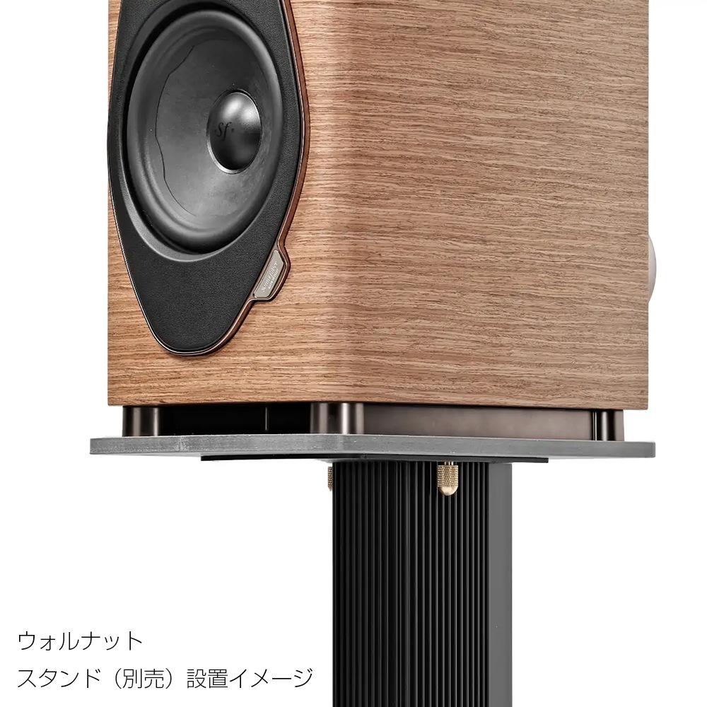 Sonus Faber - Sonetto I G2�㥽�ͥå� 1 G2��/�����󥲡ʥڥ��˥֥å�������ե��ԡ������ڼ�������/�׻�����ѡۡ�e�ա�Ǽ���ϳ�ǧ�头Ϣ����