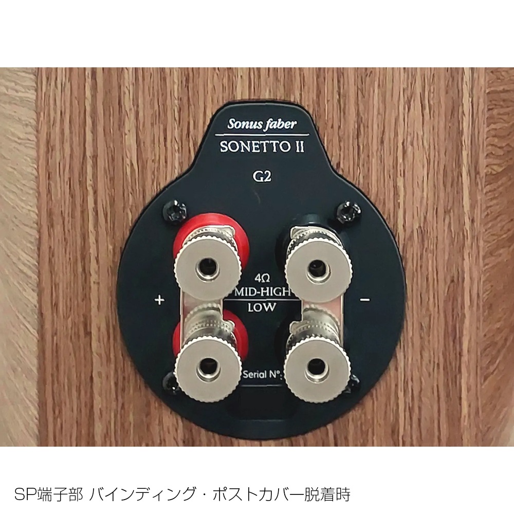 Sonus Faber - Sonetto I G2�㥽�ͥå� 1 G2��/�����󥲡ʥڥ��˥֥å�������ե��ԡ������ڼ�������/�׻�����ѡۡ�e�ա�Ǽ���ϳ�ǧ�头Ϣ����