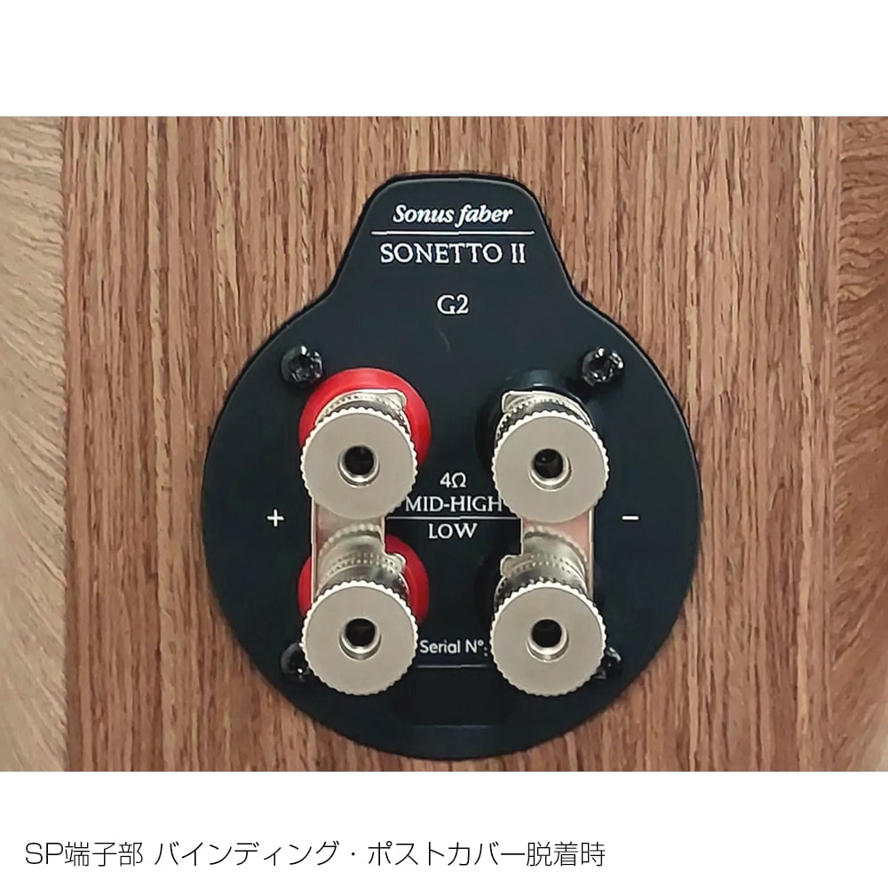 Sonus Faber - Sonetto Center G2＜ソネット センター G2
