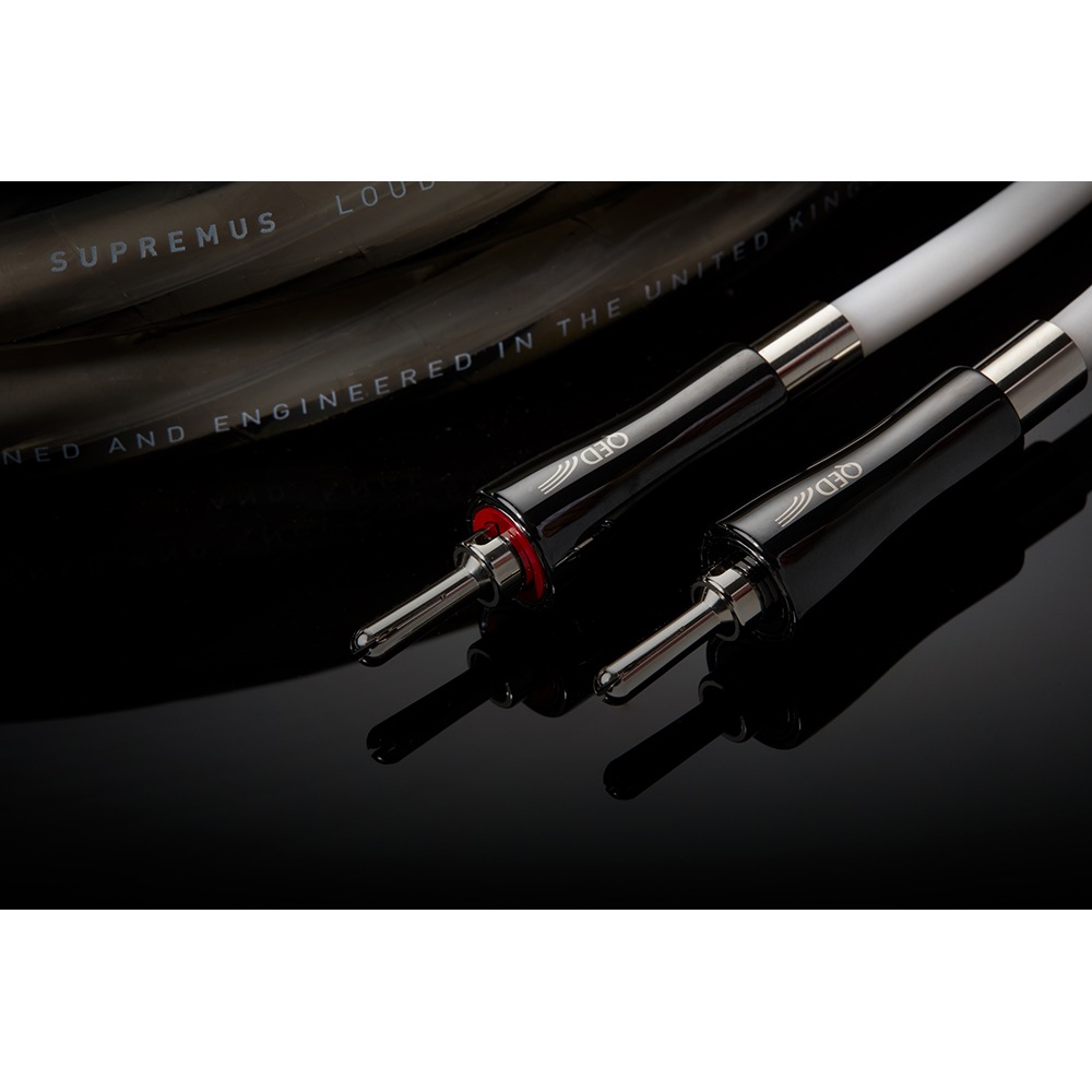 QED - SUPREMUS Zr�ʥ��ץ졼�ॹ Zr��/4.0m�ʴ����ʥ��ԡ����������֥롦�ڥ��˥��󥰥���³�����ѥХʥʥץ饰���͡ڼ�������/�׻�����ѡۡ�e�ա�Ǽ���ϳ�ǧ�头Ϣ����