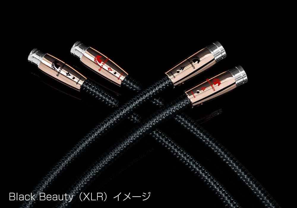 audioquest - Black Beauty/1.5mBLACK/1.5M/XLRˡXLR֥롦ڥˡeաڥ᡼ʡǼϳǧ头Ϣ