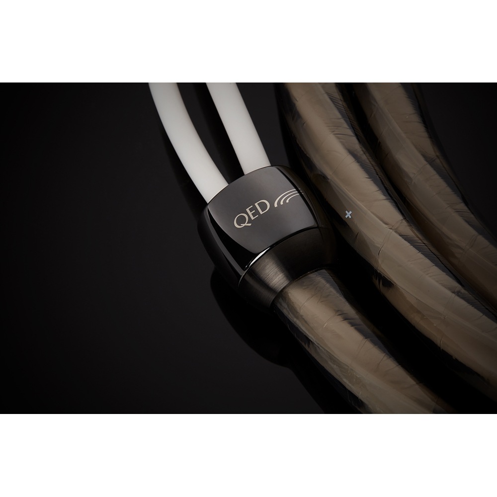 QED - SUPREMUS Zrʥץ졼ॹ Zr/5.0mʴʥԡ֥롦ڥ˥󥰥³ѥХʥʥץ饰͡ڼ/׻ѡۡeաǼϳǧ头Ϣ