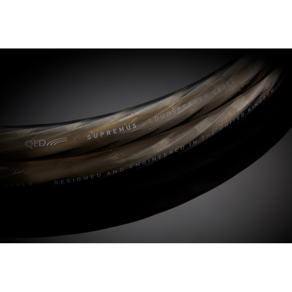 QED - SUPREMUS Zrʥץ졼ॹ Zr/5.0mʴʥԡ֥롦ڥ˥󥰥³ѥХʥʥץ饰͡ڼ/׻ѡۡeաǼϳǧ头Ϣ