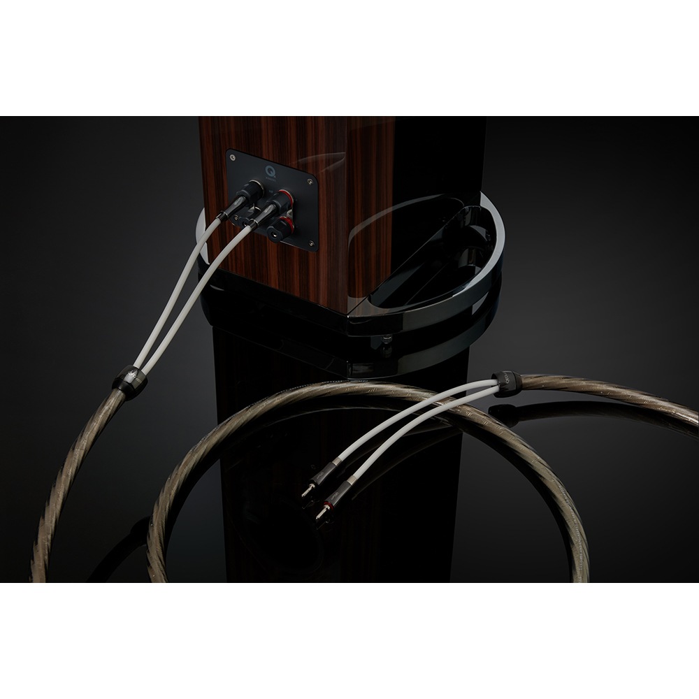 QED - SUPREMUS Zrʥץ졼ॹ Zr/5.0mʴʥԡ֥롦ڥ˥󥰥³ѥХʥʥץ饰͡ڼ/׻ѡۡeաǼϳǧ头Ϣ