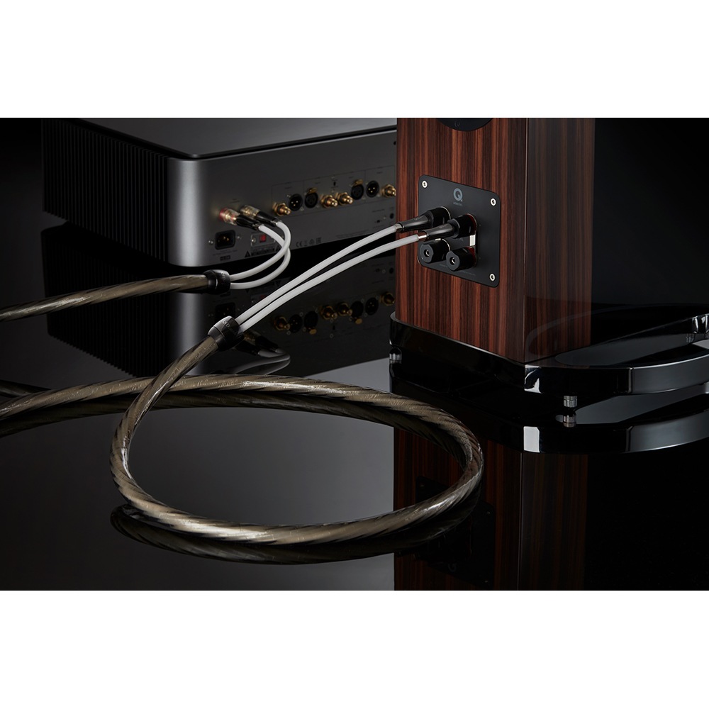 QED - SUPREMUS Zrʥץ졼ॹ Zr/5.0mʴʥԡ֥롦ڥ˥󥰥³ѥХʥʥץ饰͡ڼ/׻ѡۡeաǼϳǧ头Ϣ