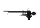 ROKSAN - Sara�ʥȡ��󥢡���ˡ�e�աڴ����