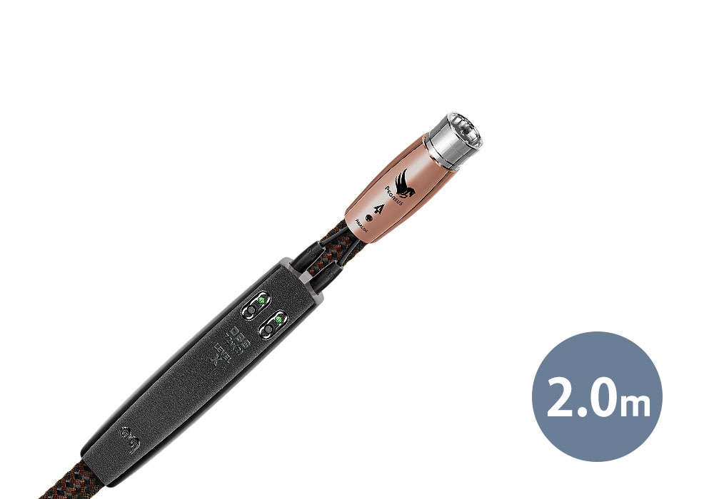 audioquest - Pegasus/2.0m��PEGA/2M/XLR�ˡ�XLR�����֥롦�ڥ��ˡ�e�աڥ᡼��������ʡ�Ǽ���ϳ�ǧ�头Ϣ����