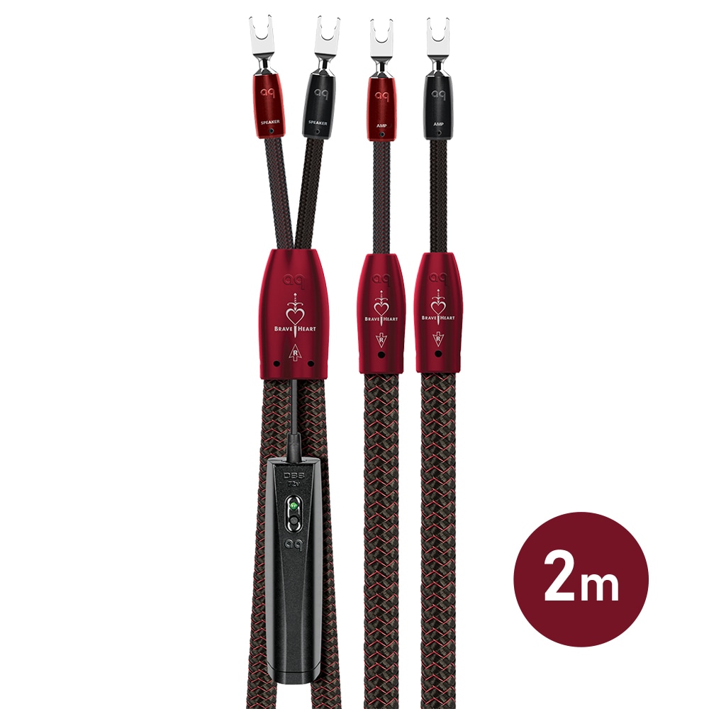 audioquest - BRAVE/2M/Y��Brave Heart�����ԡ����������֥롦2.0m��ξü�٥ץ饰�����󥰥���³���ڥ��ˡڼ�������/�׻�����ѡۡ�e�ա�Ǽ���ϳ�ǧ�头Ϣ����