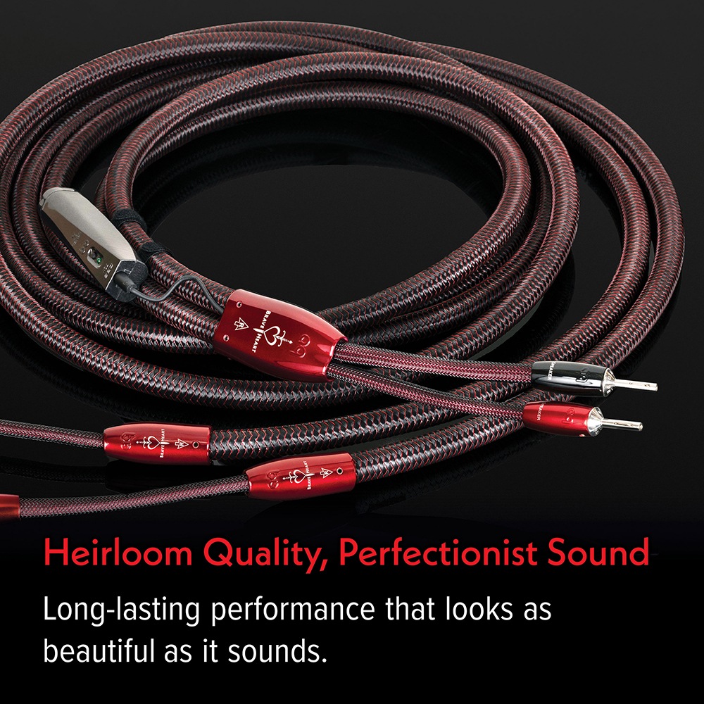 audioquest - BRAVE/3M/Y��Brave Heart�����ԡ����������֥롦3.0m��ξü�٥ץ饰�����󥰥���³���ڥ��ˡڼ�������/�׻�����ѡۡ�e�ա�Ǽ���ϳ�ǧ�头Ϣ����