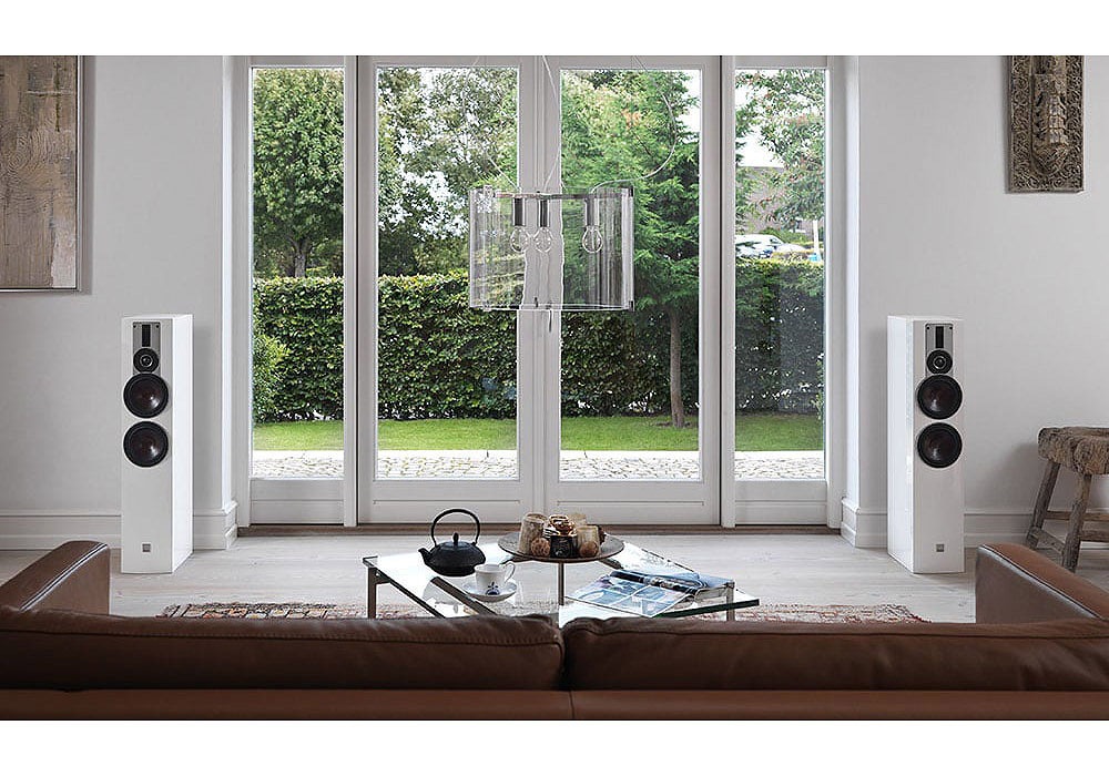 DALI - RUBICON6/B/֥å1ܡ˥եɥԡeաڴ