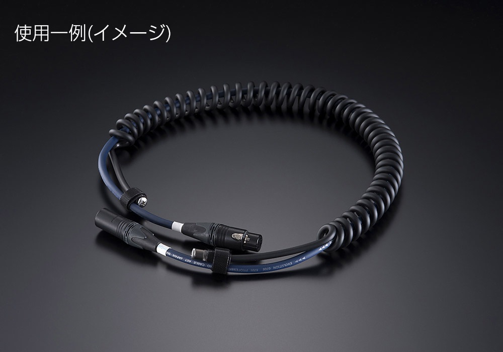 AET - EVO-CI0630NI�ʥ����֥륢�����졼����/��������ʬĹ����30cm�ˡ�e�աں߸�ͭ��¨Ǽ��