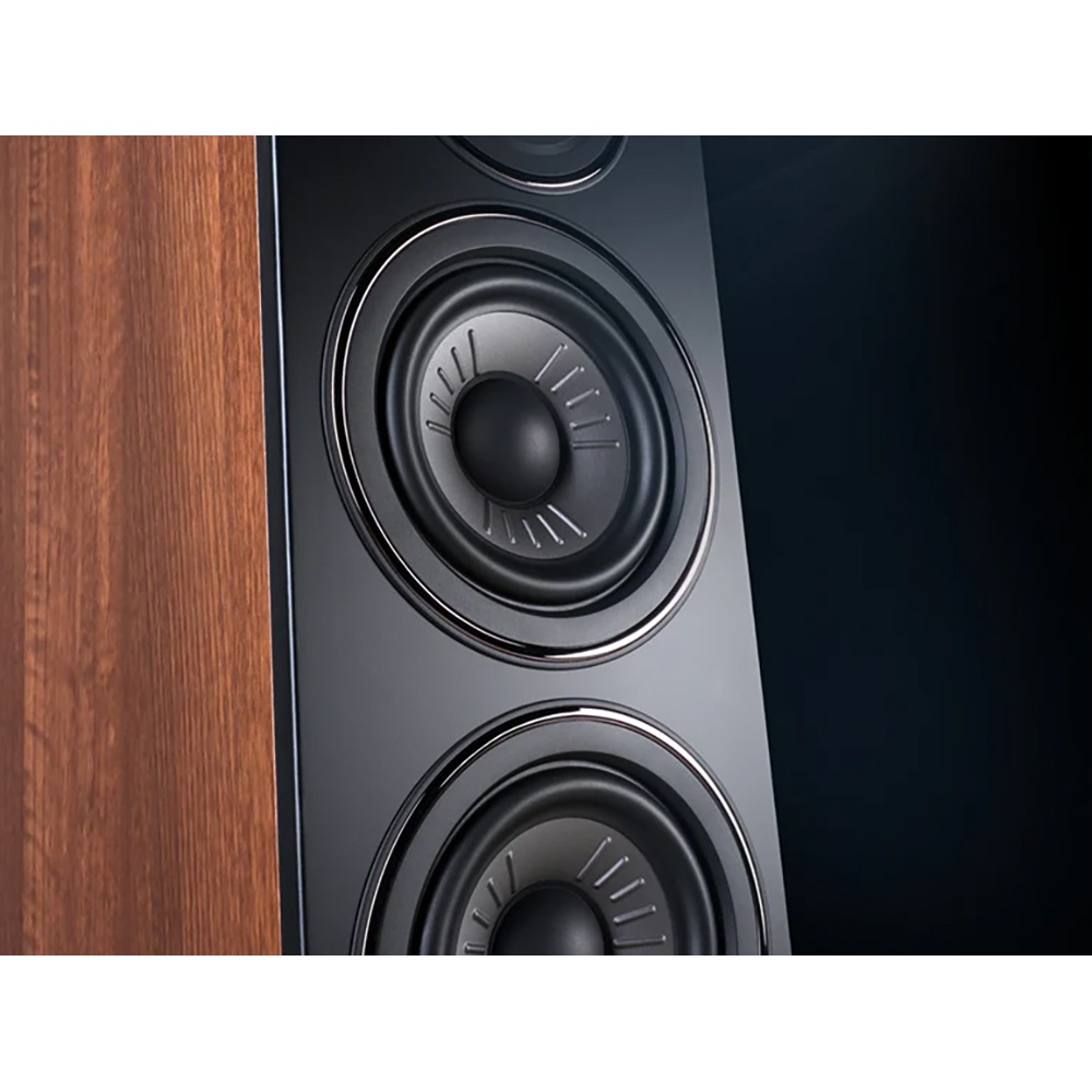 Wharfedale - DIAMOND12.4i/�֥�å��ʥڥ��˥ե���������ɥ��ԡ�������e�աڥ᡼����ľ���ʡ�����Բġˡ�Ǽ���ϳ�ǧ�头Ϣ����