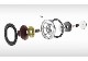 DALI - RUBICON8/MH/��������ʥåȡ�1�ܡ˥ե���������ɥ��ԡ��������緿DM�ѡ�e�աڴ����