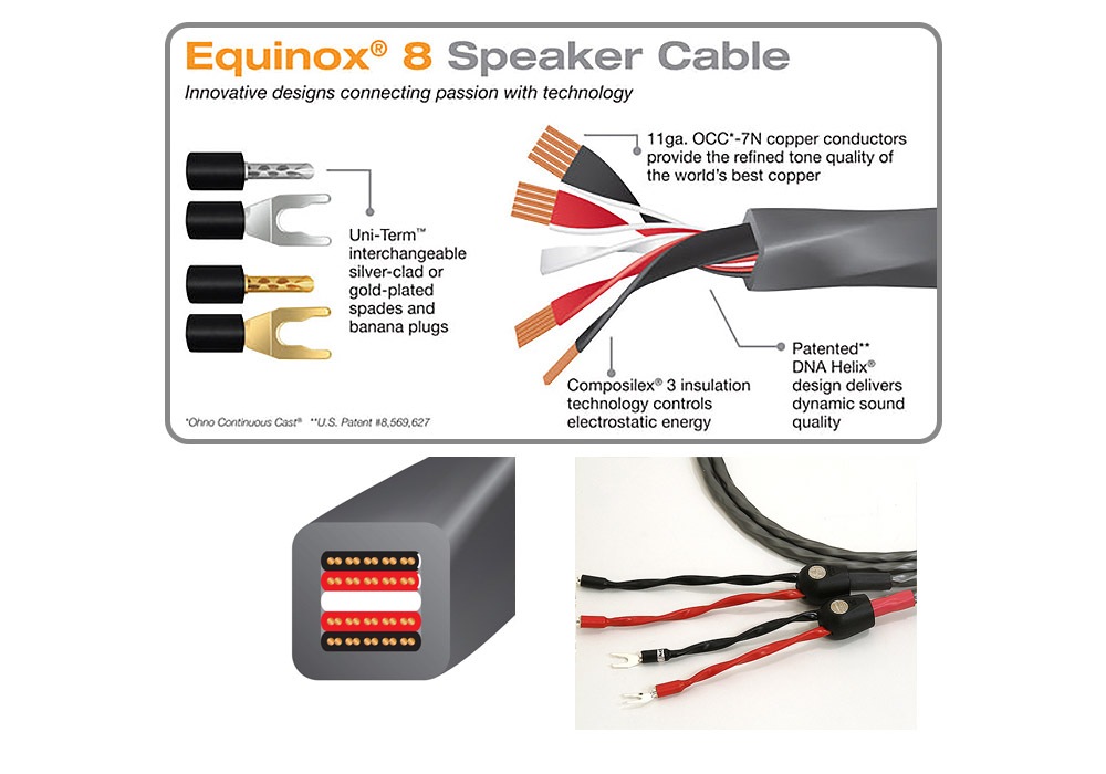 WIREWORLD - EQS8/3.0m�ʥ��ԡ����������֥롦���󥰥�磻�䡼���ڥ�/��ü������ˡ�Equinox 8��ڼ�������/�׻�����ѡۡ�e�ա�Ǽ���ϳ�ǧ�头Ϣ����