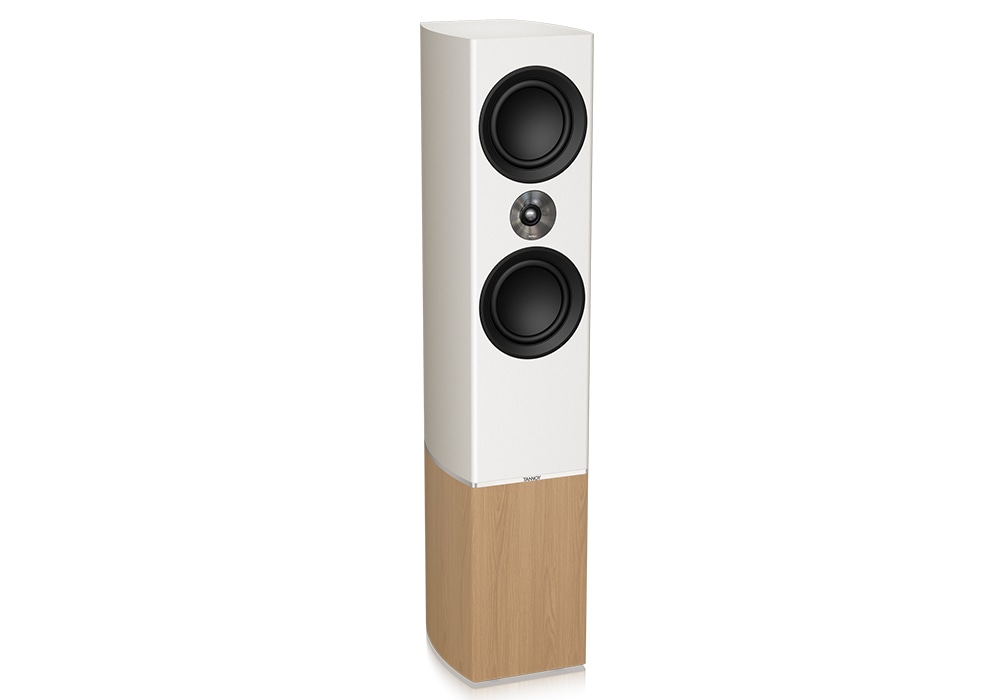 TANNOY - Platinum F6 W/ۥ磻ȡ1ܡ˥եɥԡeաڴ