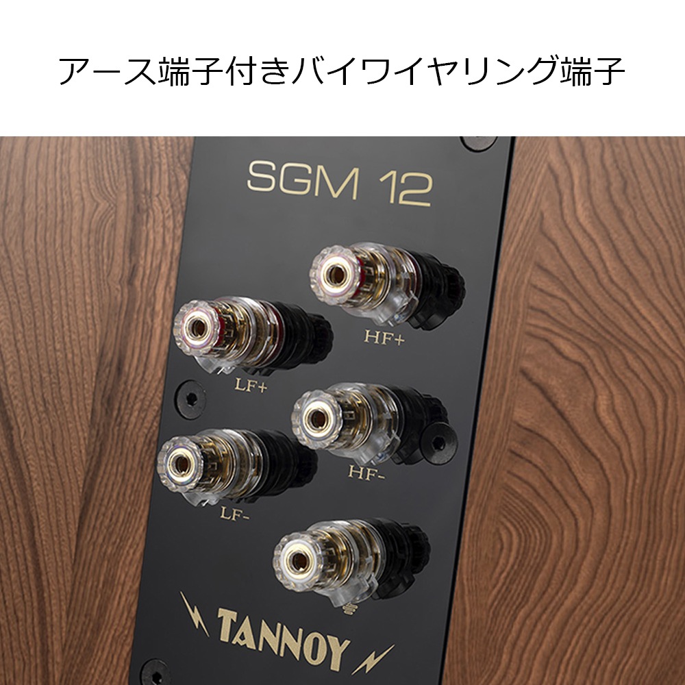 TANNOY - SGM12��1��˥����ѡ�������ɥ�˥��� �ե��������ԡ��������緿ESO�ѡ�e�աڼ���Ǽ��̤�ꡦ��ͽ��������