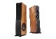 Audio Pro - AVANTO FS-20/��������ʥåȡʥڥ��ˡ��緿ROK�ѡ�e�աڴ����