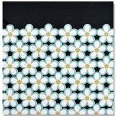 大風呂敷 「帯梅」