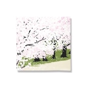 てはん「桜と舞妓さん」（桜)