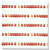 大風呂敷「ちょうちん」