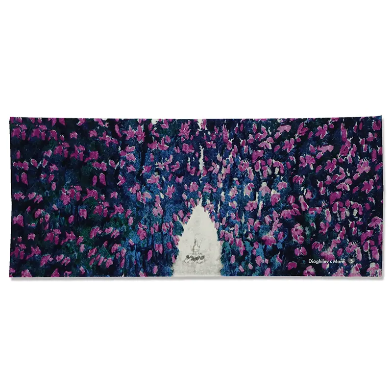 【バレエ・テヌグイ】『眠れる森の美女』「リラの精」の場面