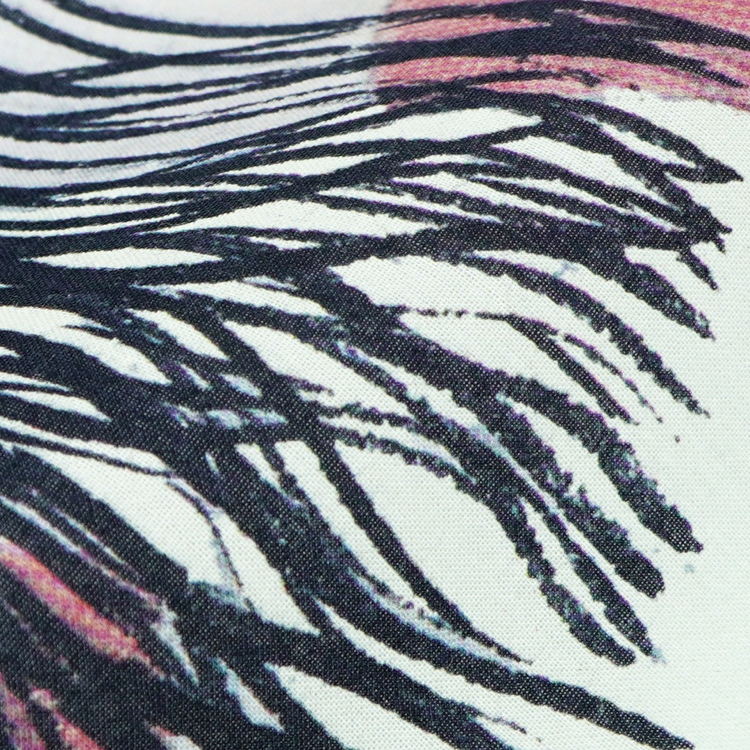 バレエ・テヌグイ】『奇妙なトーナメント』より藤田嗣治による「狂人