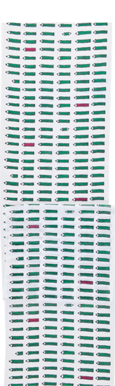 ガーゼ180cm 「えんぴつ」（グリーン）