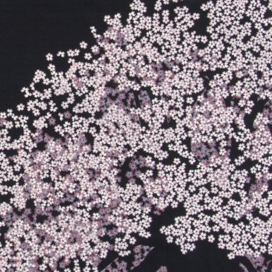 大風呂敷 「老い桜」