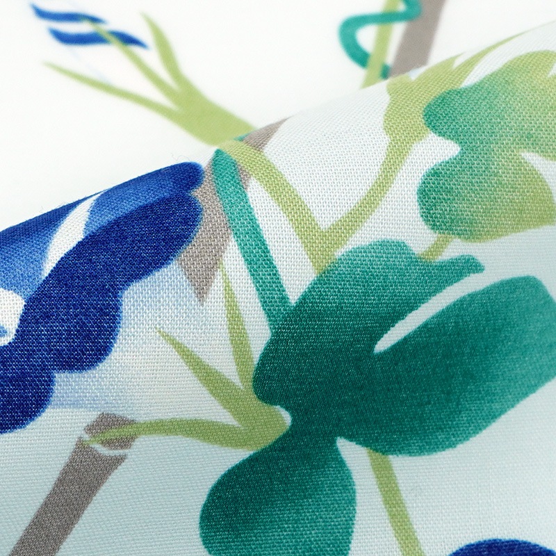 てはん「朝顔絵図」（上）