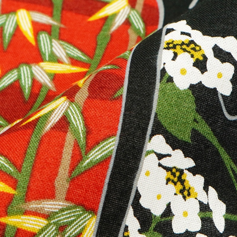 てはん「玄関猫と舞妓」