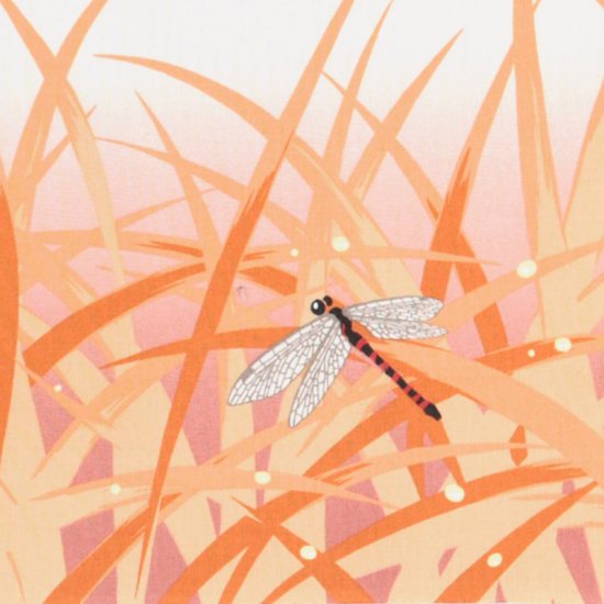 手ぬぐい「露芝に蜻蛉(とんぼ)」（オフ/オレンジ）