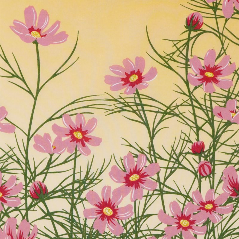 手ぬぐい「秋桜（コスモス）」