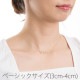 イングランドstyle（K10ホワイトゴールド）ネームネックレス